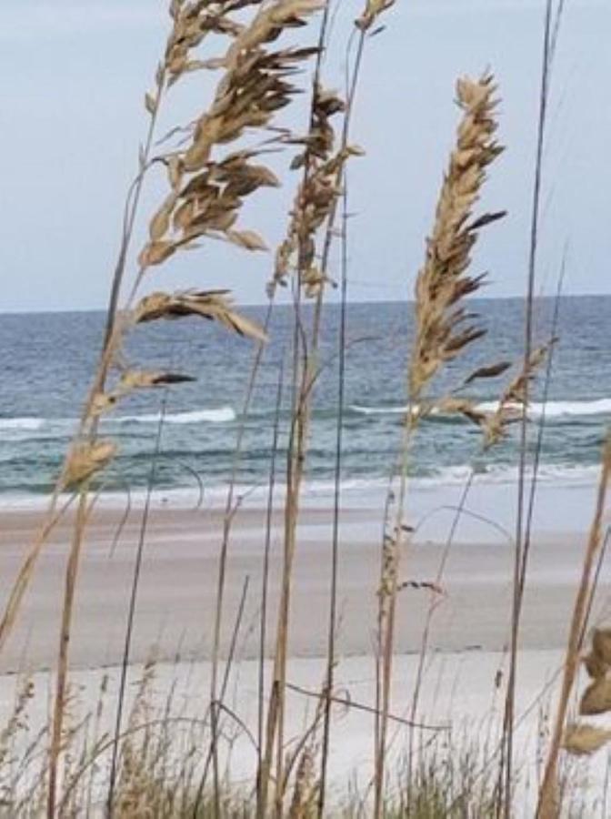 Aparthotel Island Life St. Augustine Beach Exterior foto